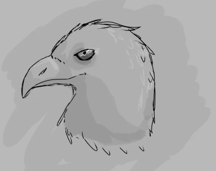 Bald eagle attemp 1 