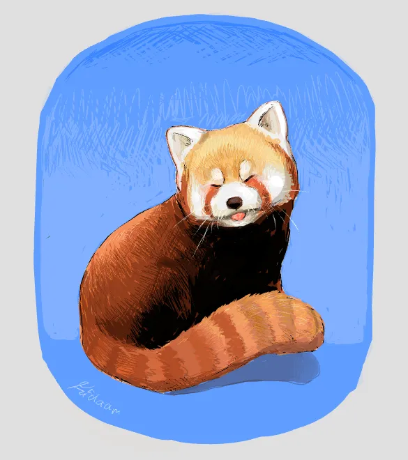 red panda  -_( ' v ' )_-