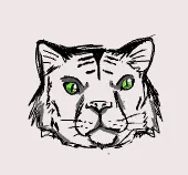 cool tiger drawing that I made