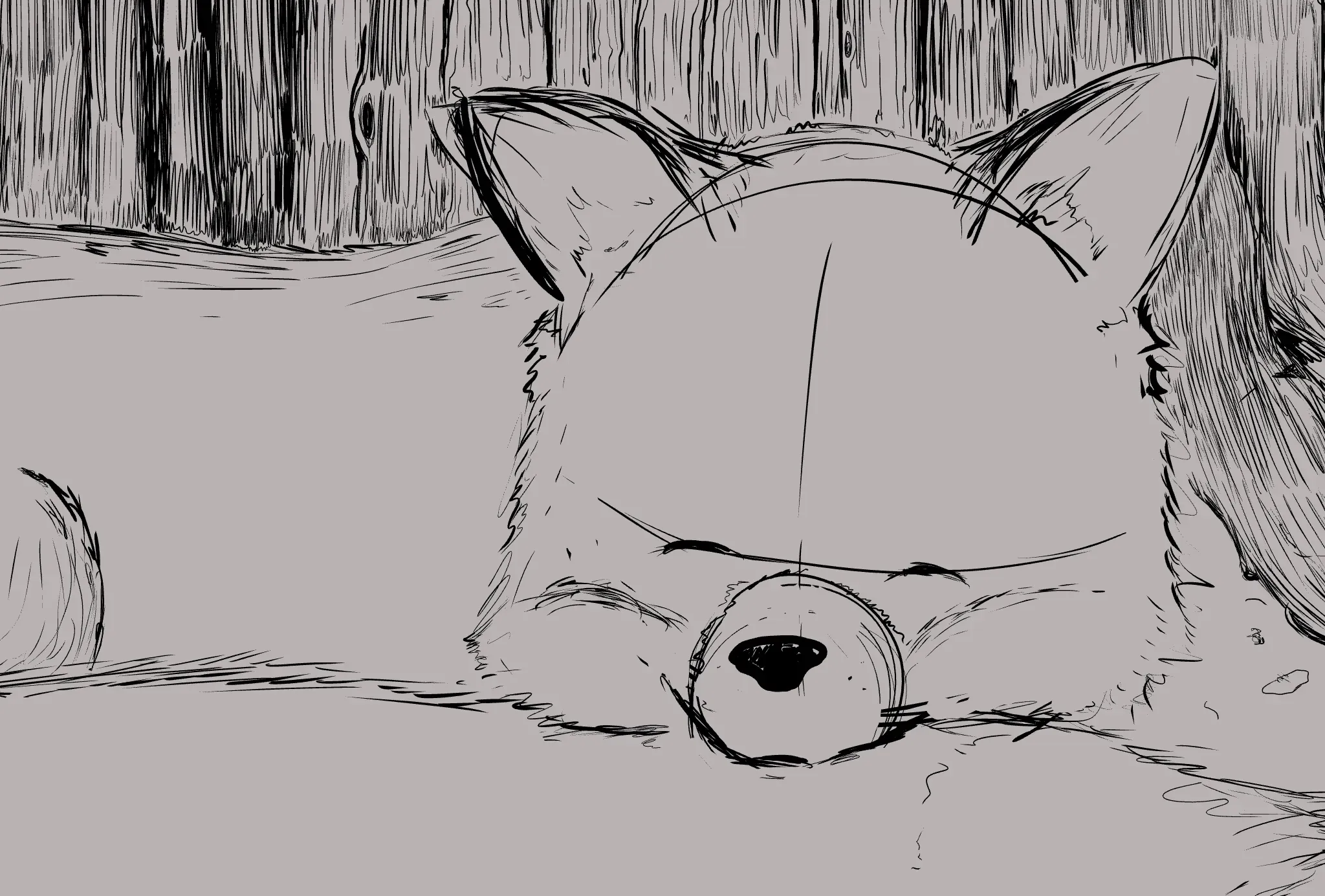 sleeping fox 