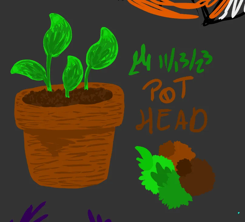 pot head 👍