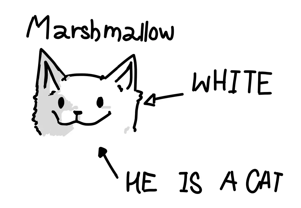 Marshmallow lore