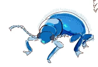 Blue hairy beetle