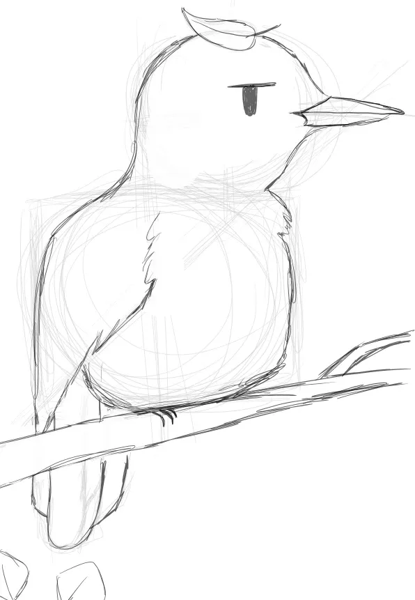 bird bord
